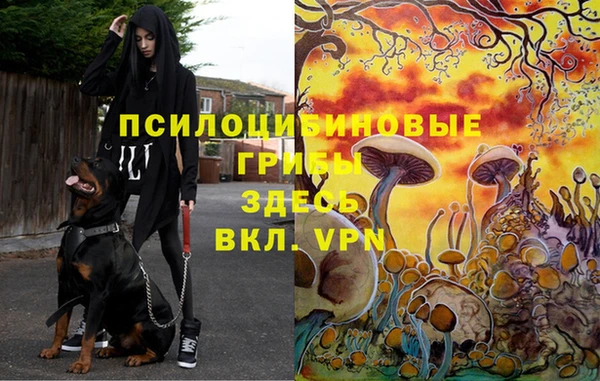 Альфа ПВП Богданович